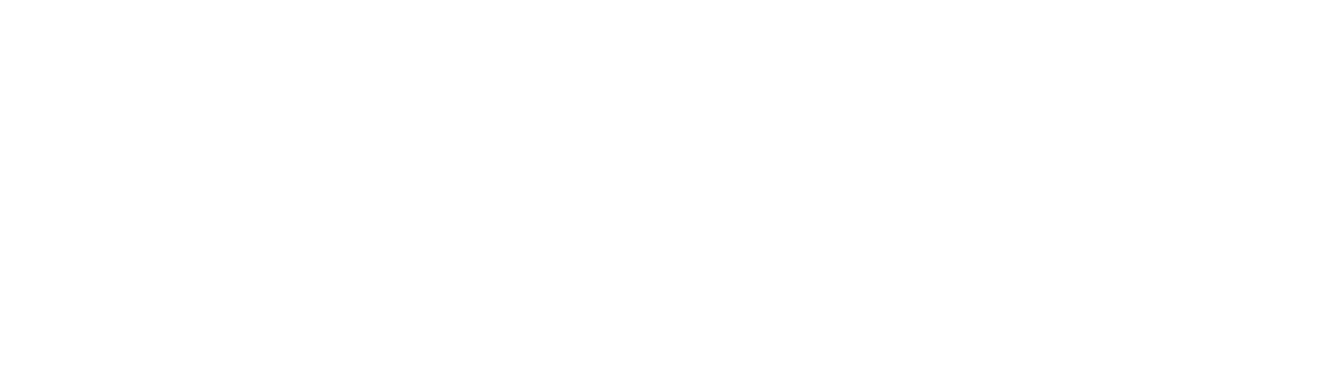 Partner Logo 1