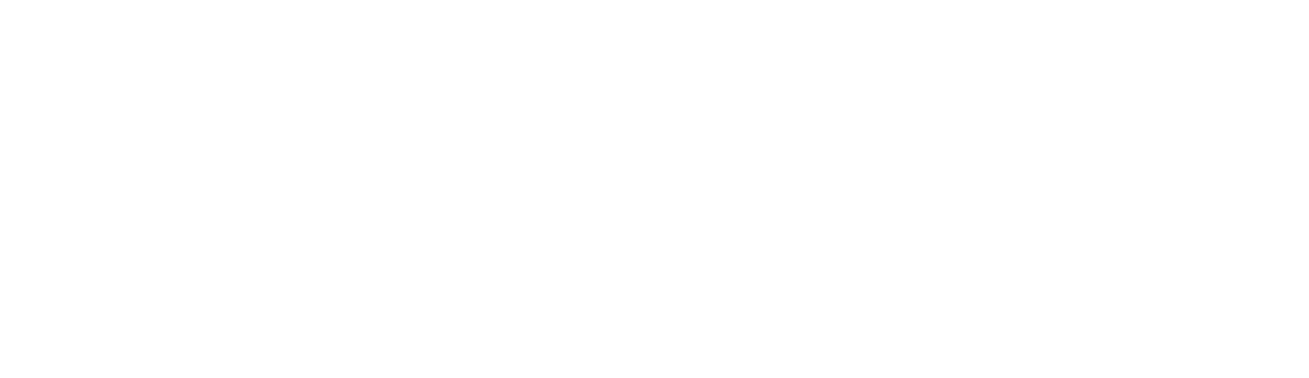 Partner Logo 12
