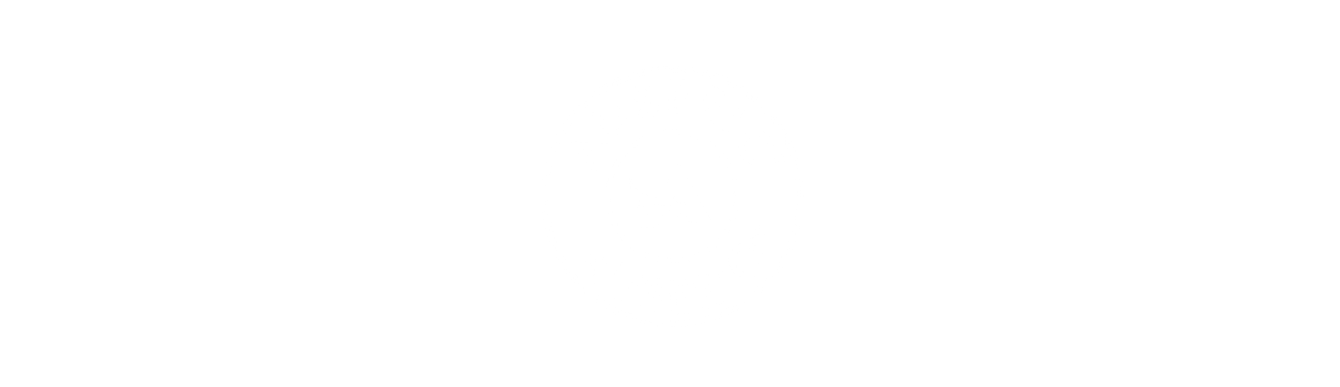 Partner Logo 50